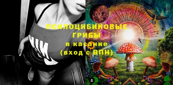 ECSTASY Алзамай