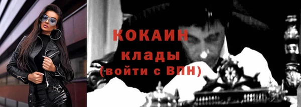 ECSTASY Алзамай