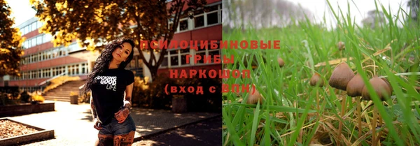 первитин Армянск